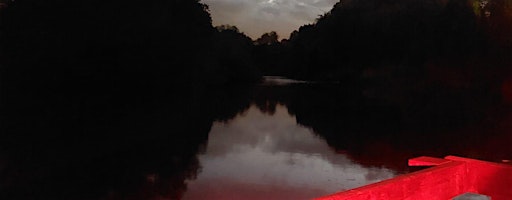 Worsley Woods Bat Walk