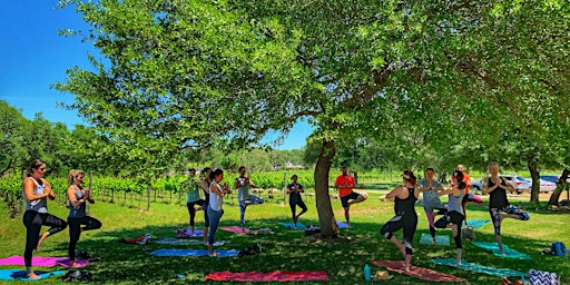 Vino Vinyasa at Fall Creek Vineyards