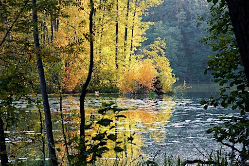 Schlaubetal: Brandenburg's Quality Hiking Route