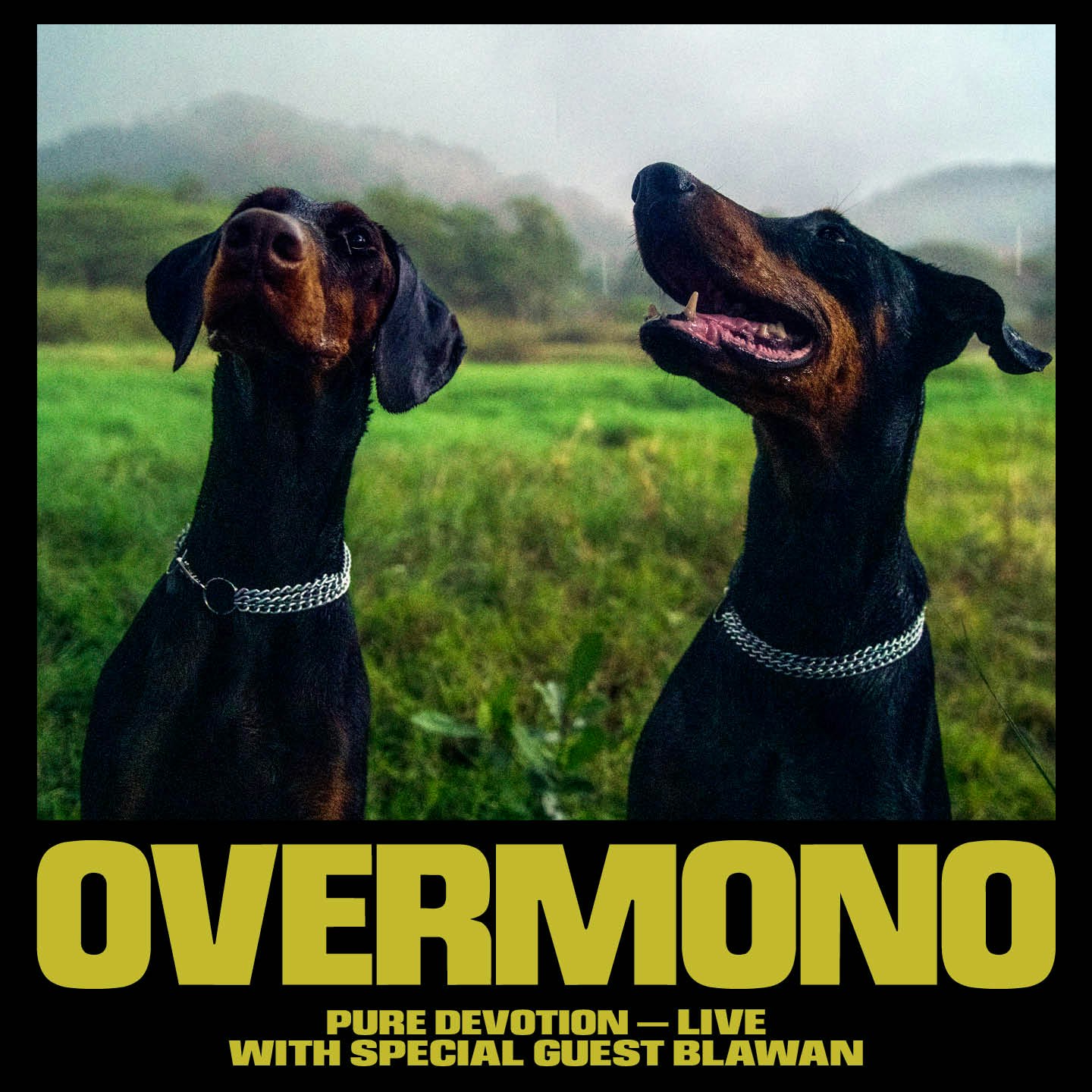 Overmono