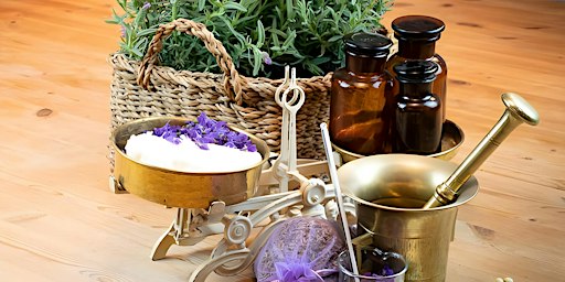 Workshop in Wien: Salben und Tinkturen