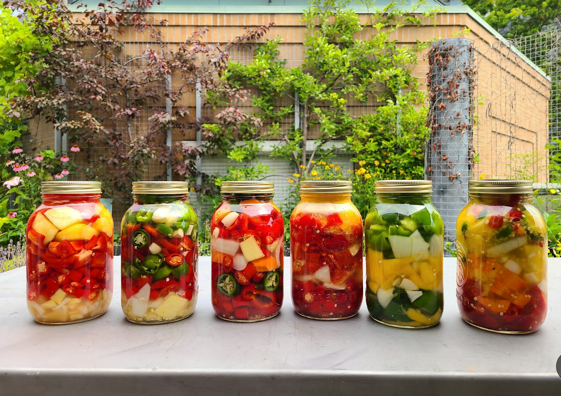 BrewBird Sauerkraut Workshop: Ferment, Cook & Eat