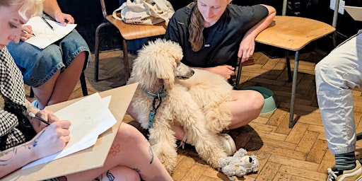 Dog Life Drawing at The Crafty Egg, Fishponds, Bristol - Summer Season