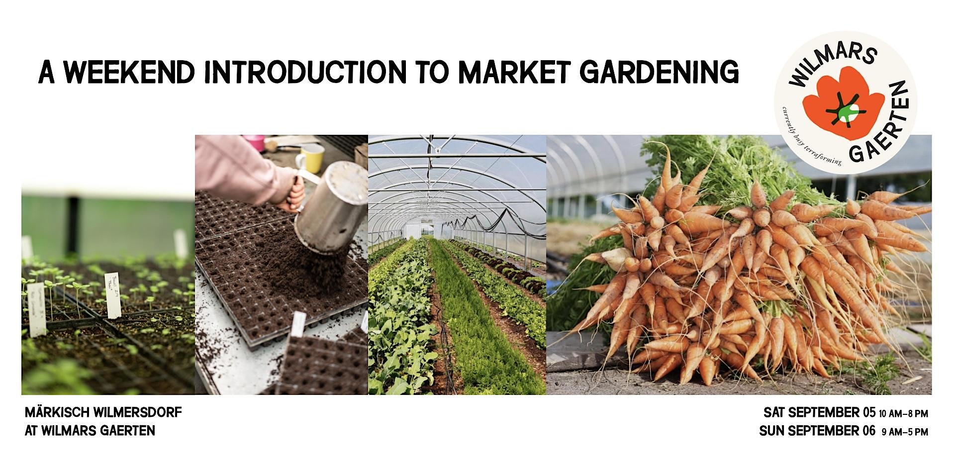 A Weekend Introduction to Market Gardening (September 05-06)