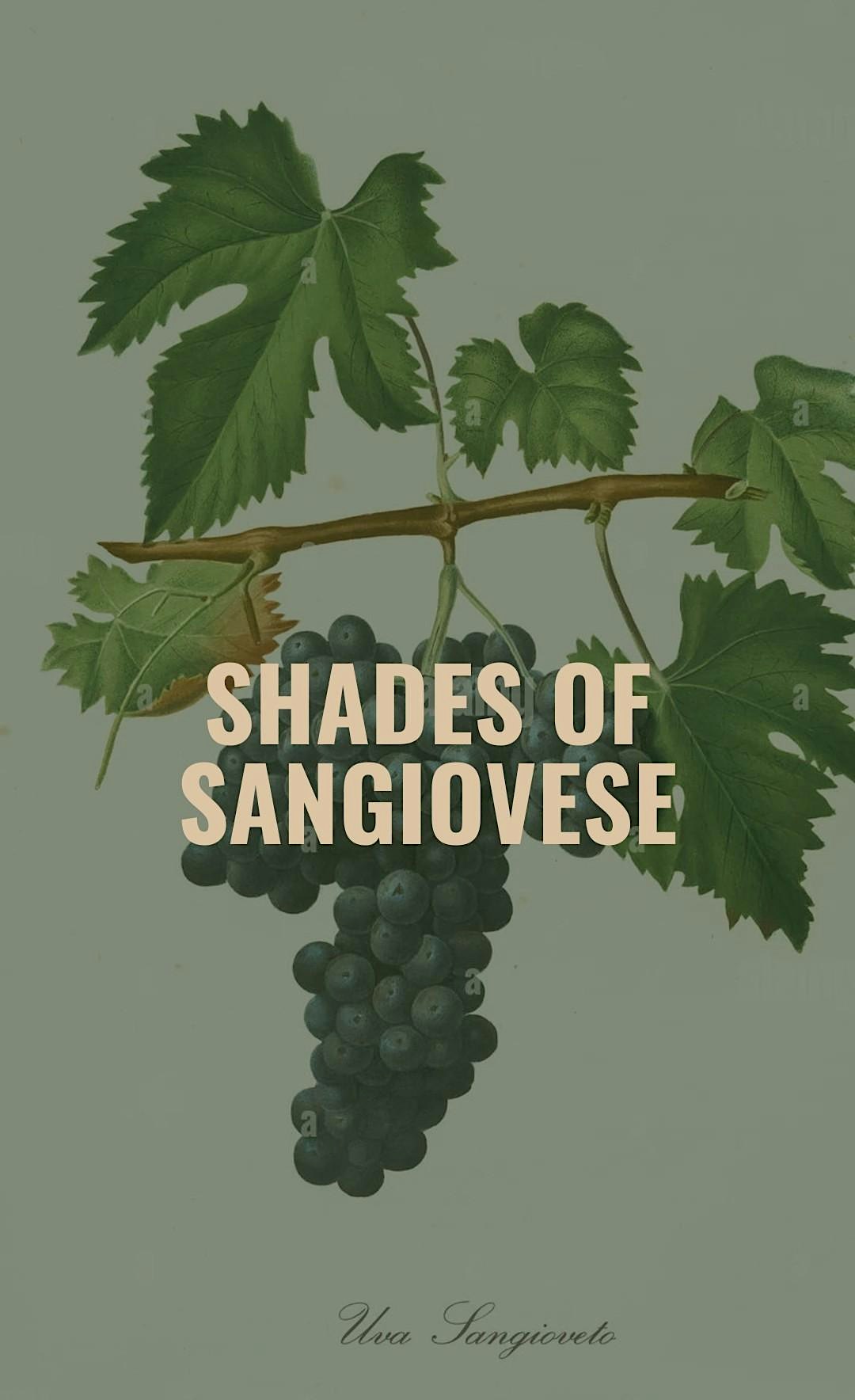 Shade of Sangiovese