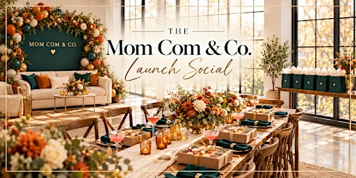 The Mom Com & Co Launch Social | Moms & Babies Social in Dallas