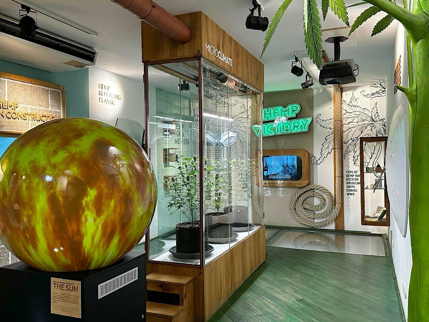 Cannabis Museum Amsterdam - Entrance Ticket