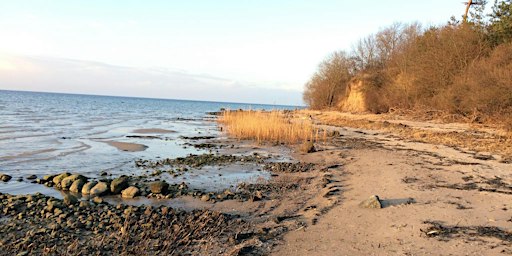 Strandleben - Mehr als ein Haus am Meer