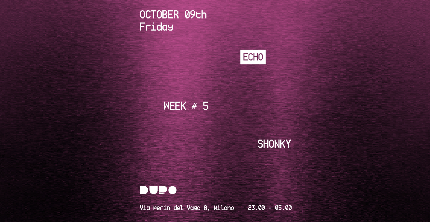 Echo // Shonky