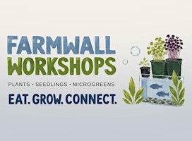 Sundays with FARMWALL