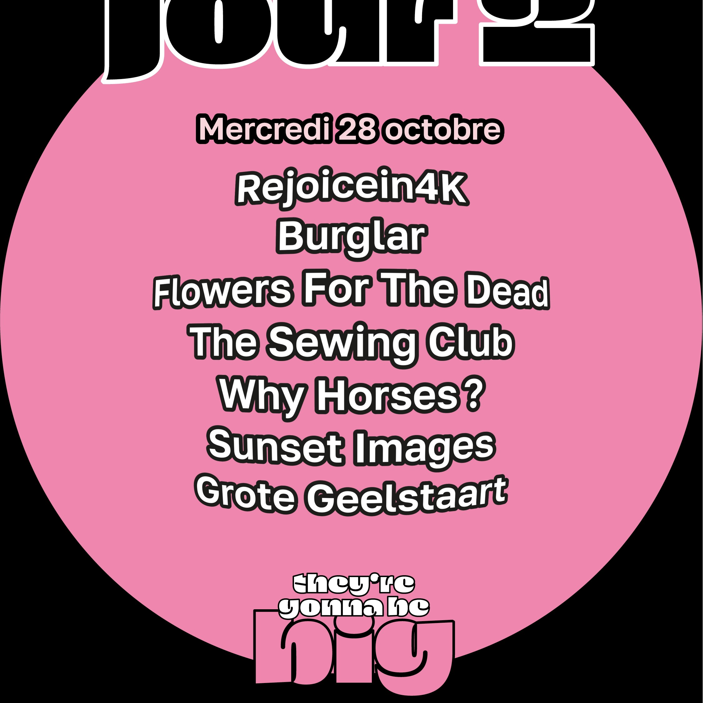 TGBB fest : Rejoincein4K + Burglar + Flowers For The Dead + The Sewing Club + Why Horses? + Sunset Images + Grote Geelstaart