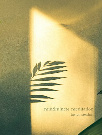 Mindfulness Meditation Taster Session - hosted by Niall Miller