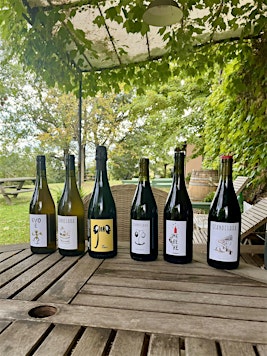 Italy - North to South wine tasting