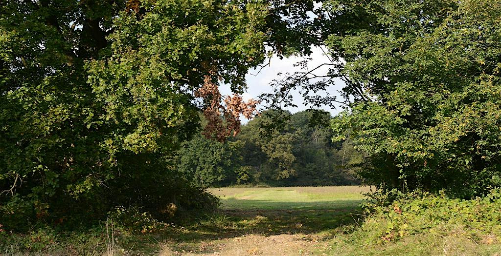 De la Seine à l'Orge par la forêt régionale de Saint-Eutrope
