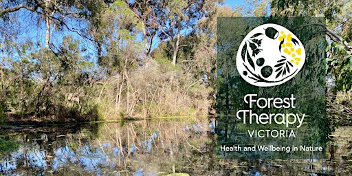 Forest Therapy Experience: Edgars Creek Parkland (Coburg) (LC)