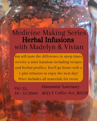Medicine Making Series: Herbal Infusions - When to do a short vs long steep