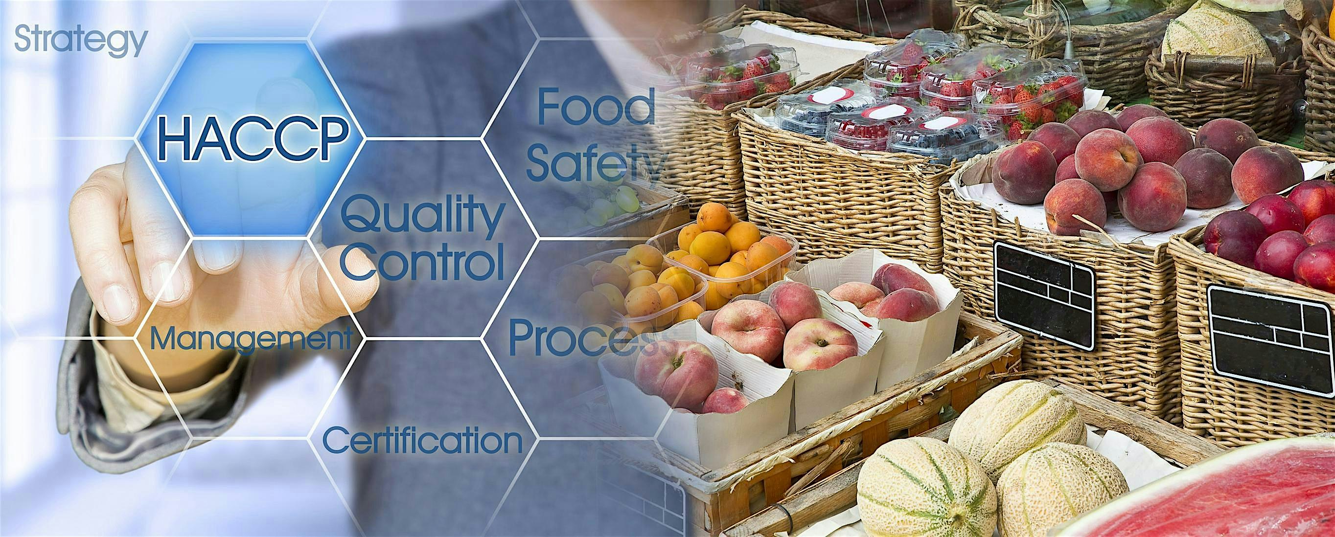 Vincit Academy Presents: SQF Edition 10 / Internal Auditor Certification