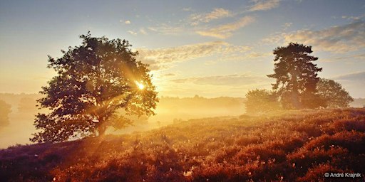 Landschaft, Licht und Farbe in der Heide fotografieren