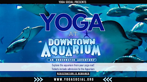 Yoga at the Downtown Aquarium in Denver with Yoga Social