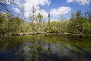 A la découverte du Moulin des Marais