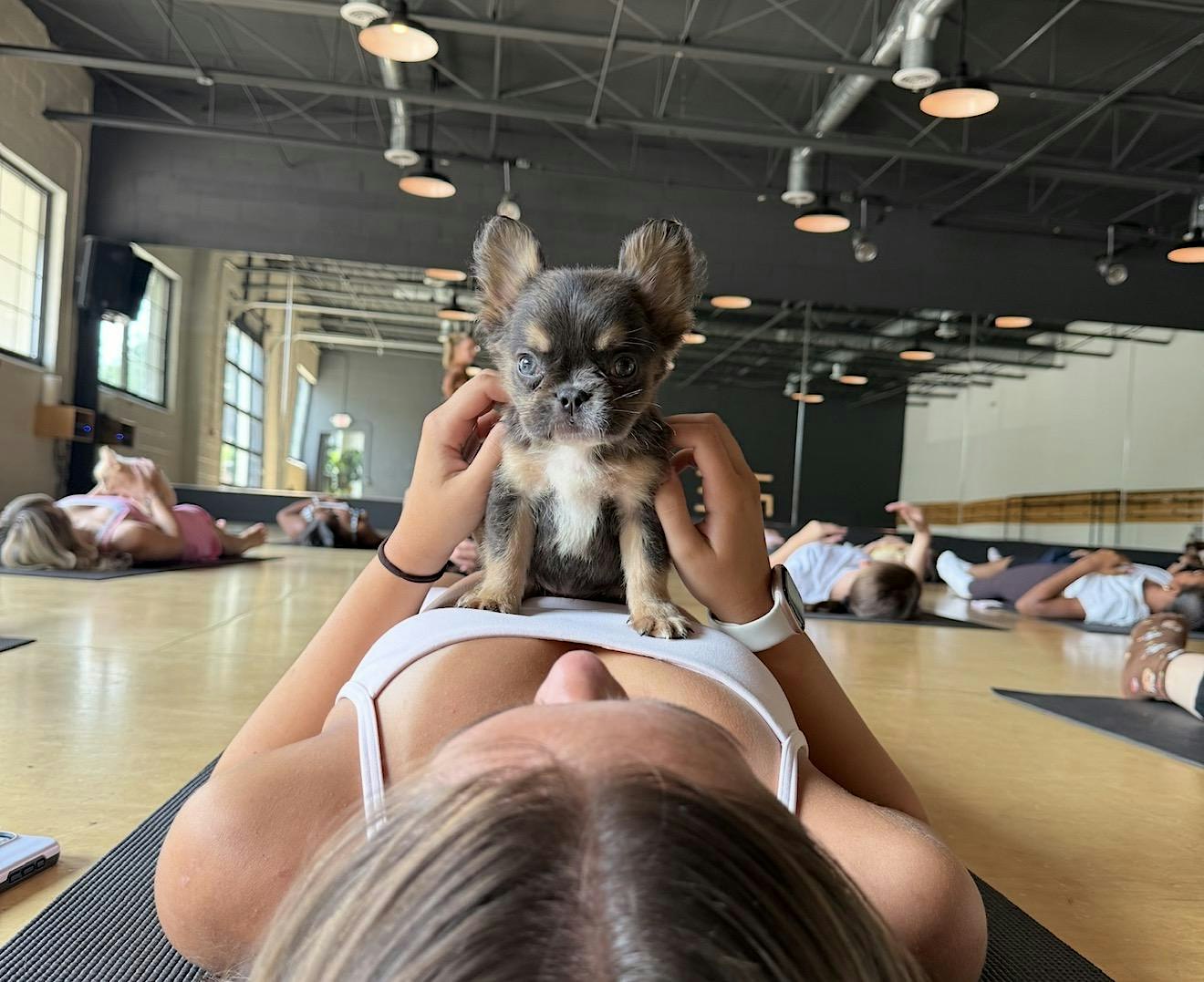 PUPPY YOGA DETROIT