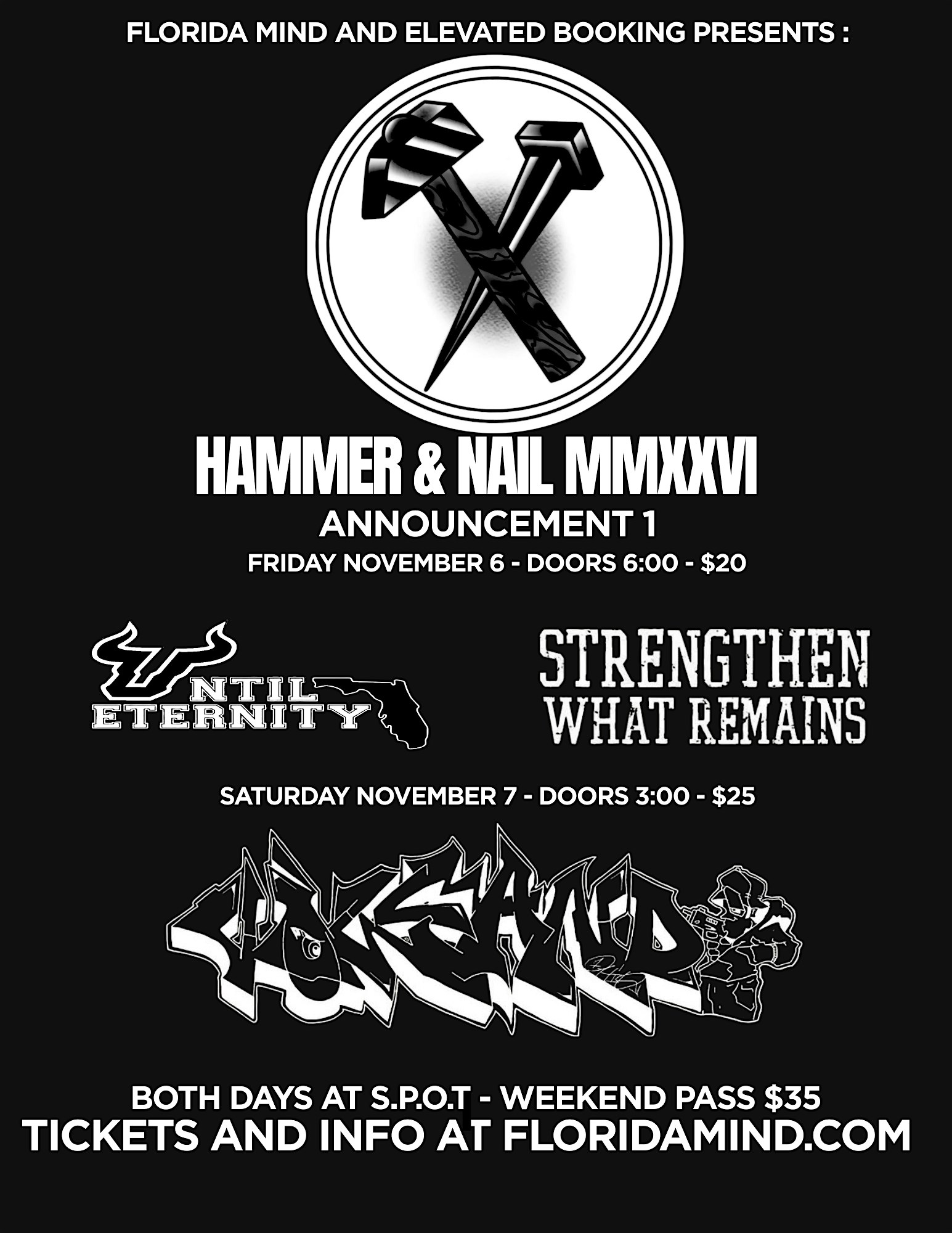 Hammer and Nail Day 2