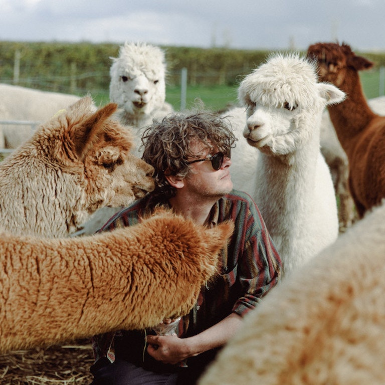 Bill Ryder-Jones and the Royal Liverpool Philharmonic Orchestra perform If… and other works