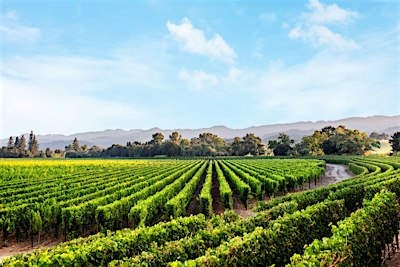 Chart House - Caymus Wine Dinner - Redondo Beach
