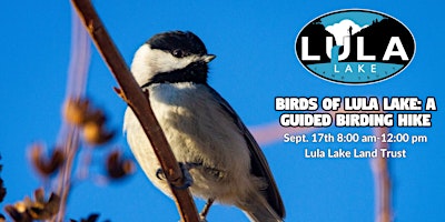 Birds of Lula Lake: A Guided Birding Hike