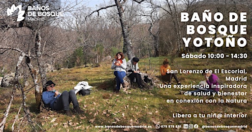 Baño de Bosque y Otoño sab. 7 nov El Escorial