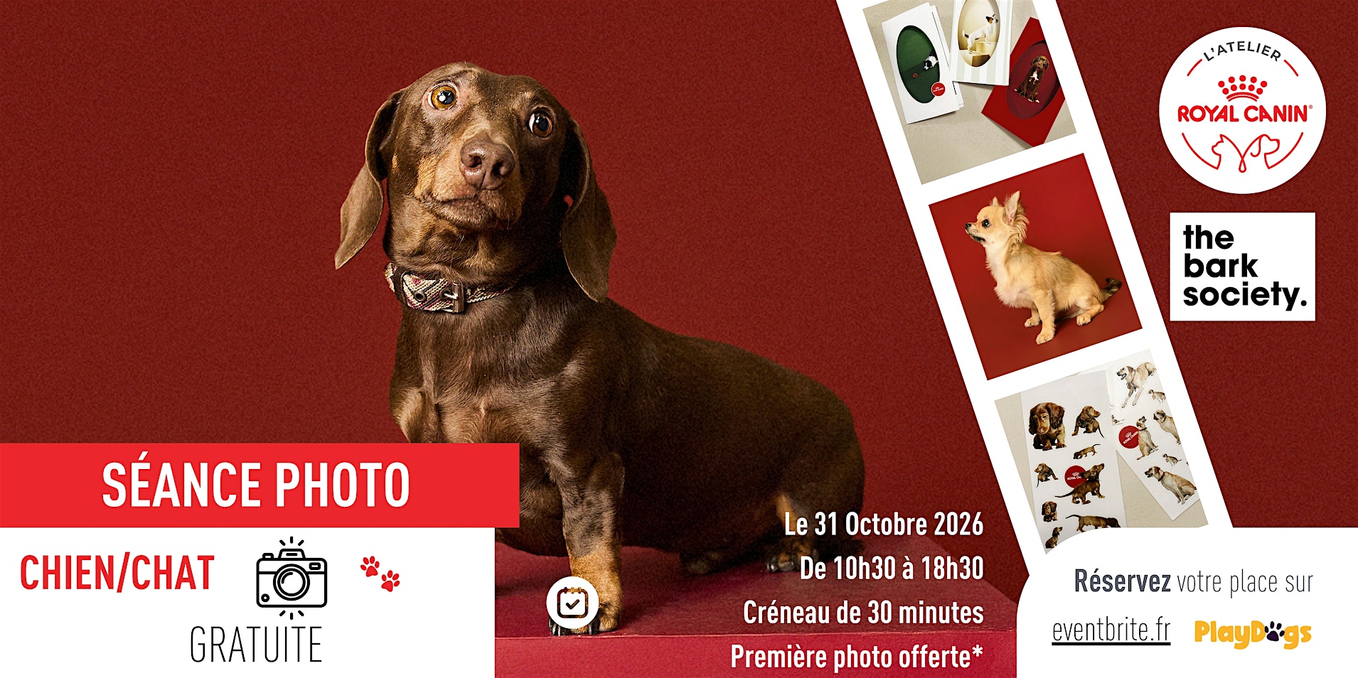 Atelier photos - Immortalisez-vous avec votre chien ou chat !