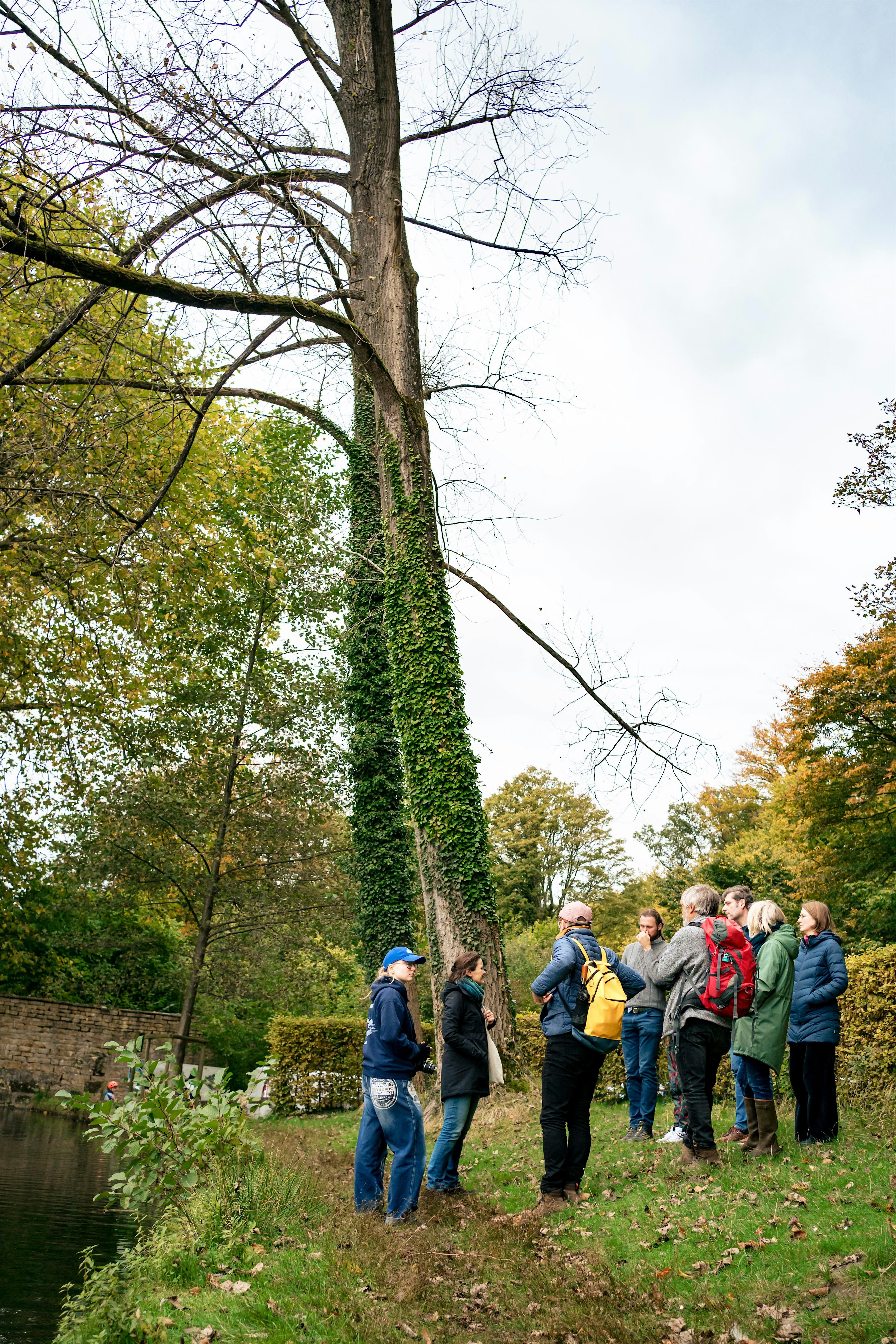 A la découverte des arbres du parc de Tours et Taxis / Op ontdekkingstocht naar de bomen in het park van Tours en Taxis