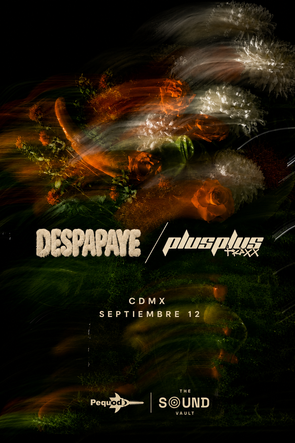 Despapaye x Plus Plus Traxx