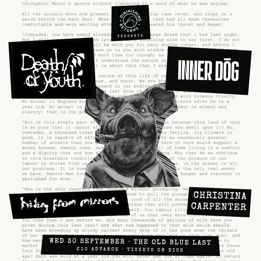 Death of Youth, Inner Dog + more