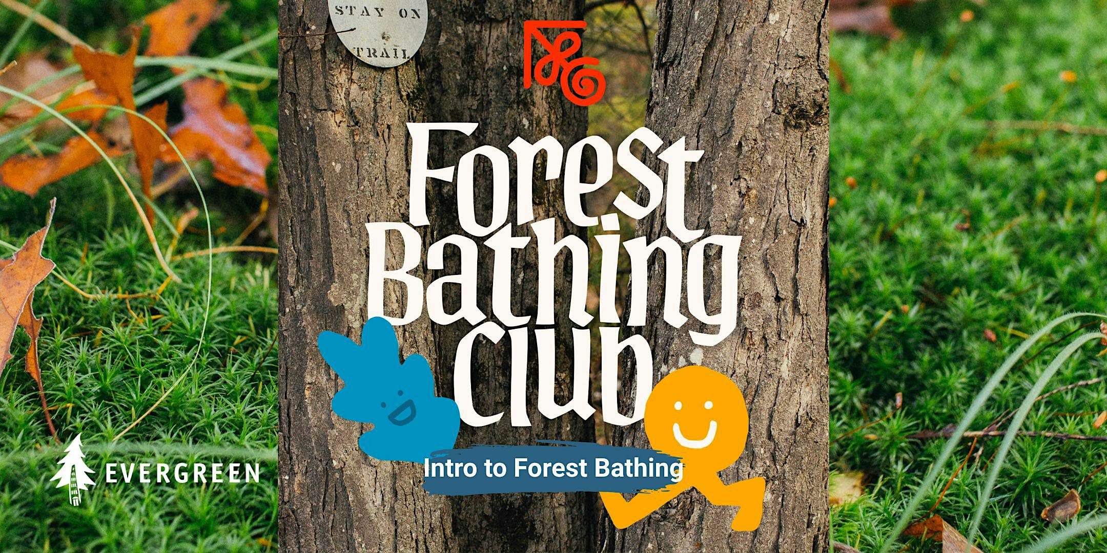 Intro to Forest Bathing