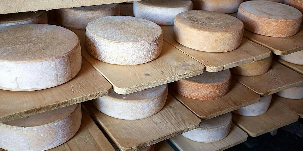 Naturel Wein und Käse