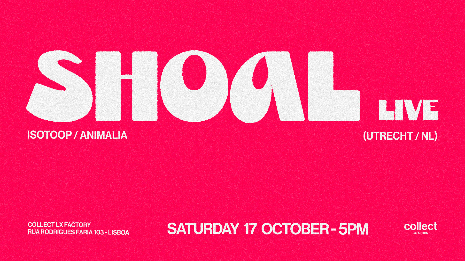 Collect LX Factory presents Shoal (live)