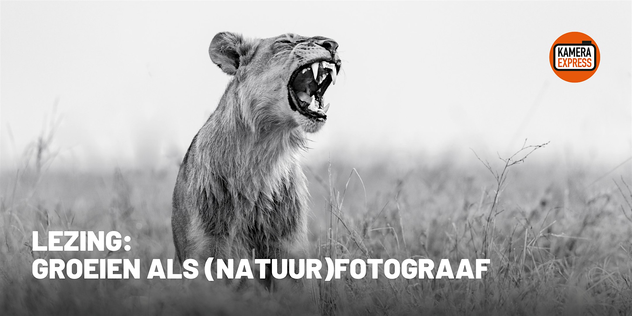 Lezing: Groeien als (natuur)fotograaf