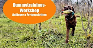 Gruppentraining Dummyarbeit