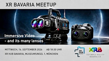 Immersive Video - and its many lenses