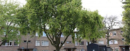Rondleiding/wandeling door de Notenbuurt