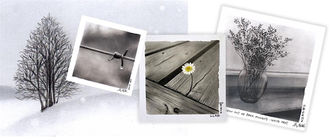 Nagomi Pastel Art Course (Black & White) by Audrey Ng