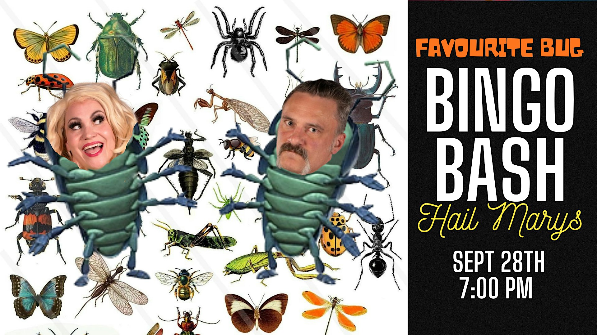 Favourite Bug Bingo Bash at Hail Marys- September 28th