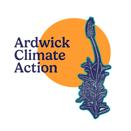 Community Half Term Bat Walk