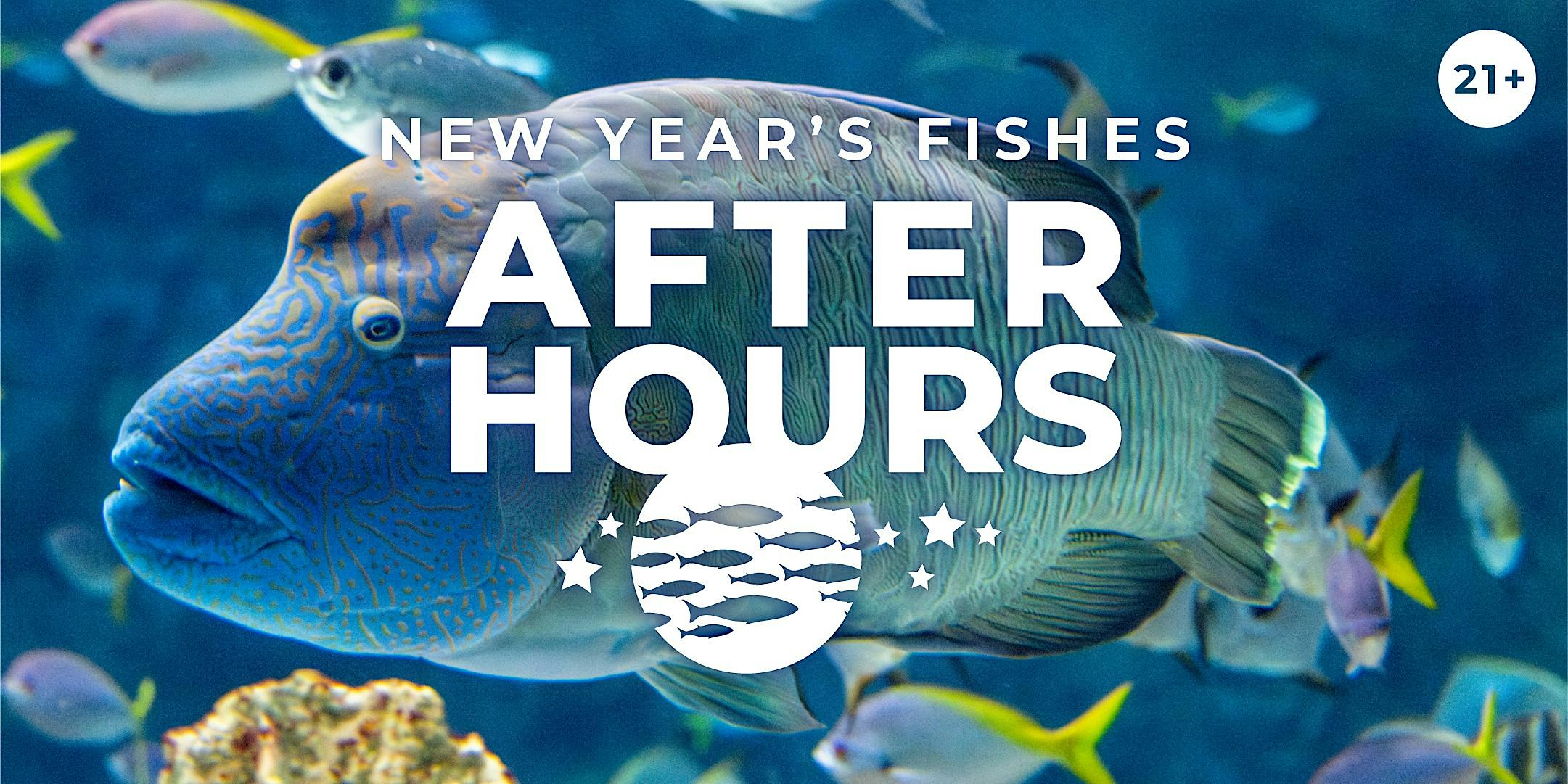 After Hours: New Year’s Fishes