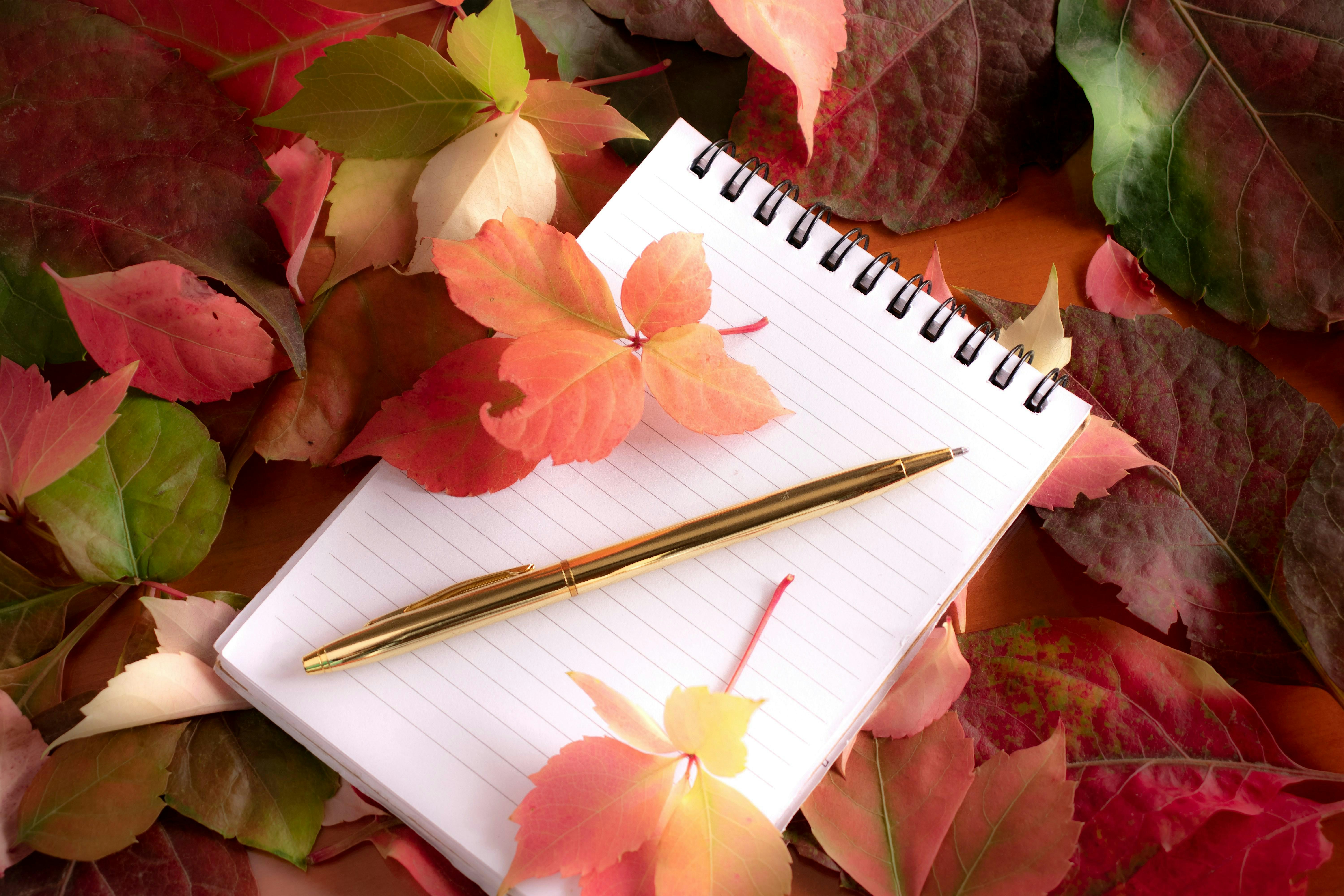 Creative writing -exploring autumn