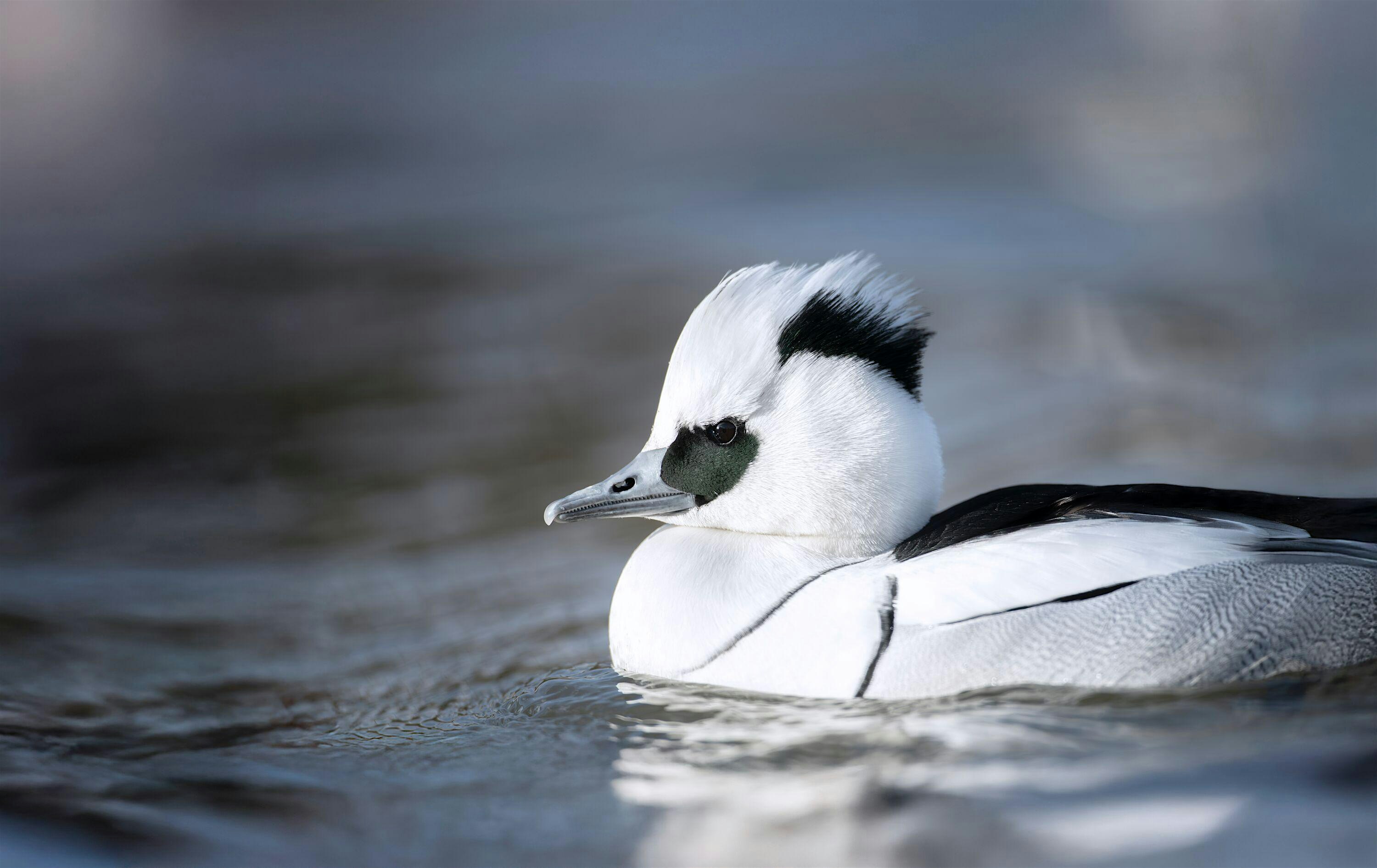 Coach Trip: EWT Abberton Reservoir