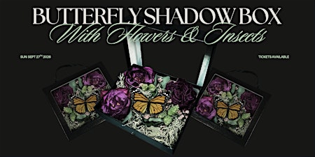Butterfly Shadowbox Workshop
