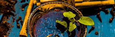 Grounding into Fall: An Introduction to Ayurveda Workshop with Anjali Deva