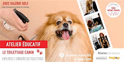 Apprendre le Toilettage Canin - Atelier éducatif avec Valérie SOLE